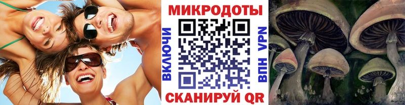 Купить где  Азнакаево  Галлюциногенные грибы MAGIC MUSHROOMS 